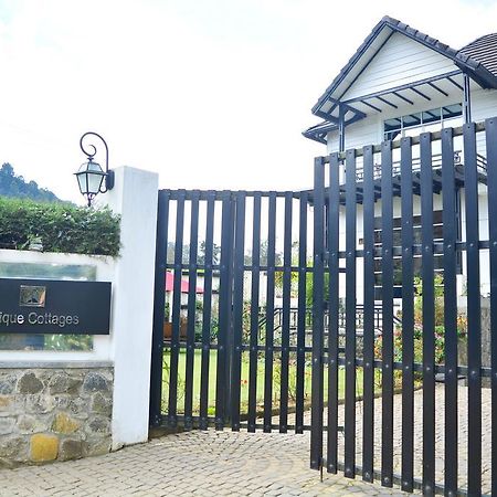 Unique Cottages Nuwara Eliya Exterior photo